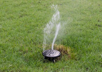 Sprinkler Repair (2)