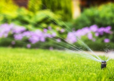 Sprinkler Repair (26)