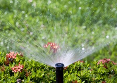 Sprinkler Repair (31)