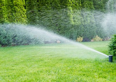 Sprinkler Repair (39)
