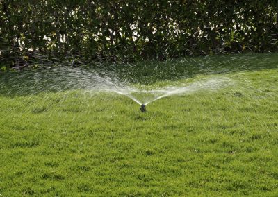 Sprinkler Repair (7)