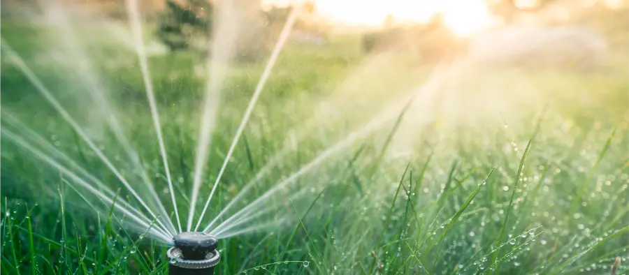 Irrigation System Design to Reduce Runoff Problems in Joshua, TX Irrigation System Design to Reduce Runoff Problems in Joshua, TX