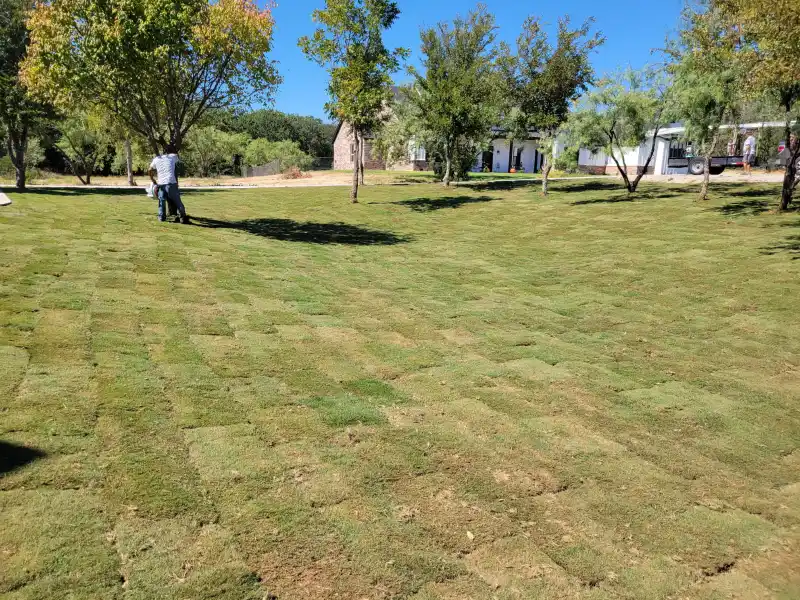 Professional Sprinkler Company