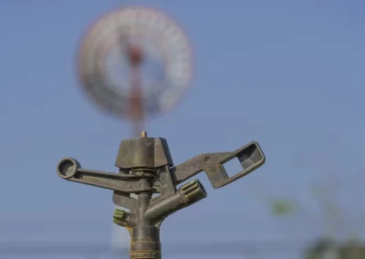 Skilled Irrigation Companies