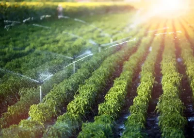 Skilled Irrigation Companies