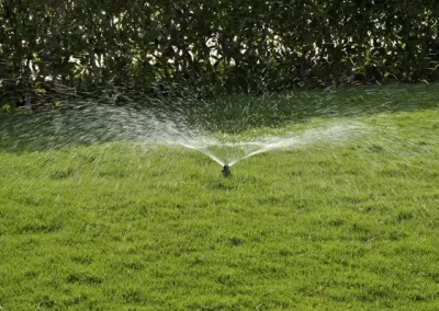 Skilled Irrigation Companies