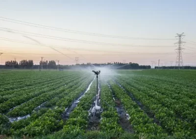 Skilled Irrigation Companies