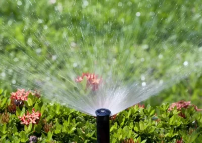 Skilled Irrigation Companies