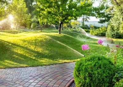 Skilled Irrigation Companies