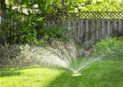 Skilled Irrigation Companies