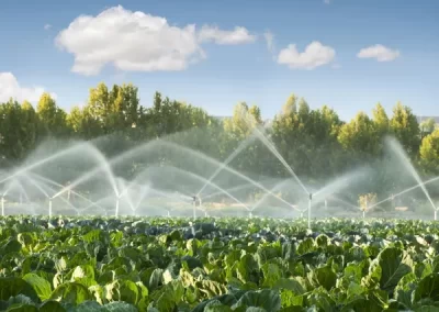 Skilled Irrigation Companies